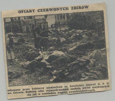 zdjęcie Ciała pomordowanych odkopane przez żołnierzy niemieckich we Lwowoie
